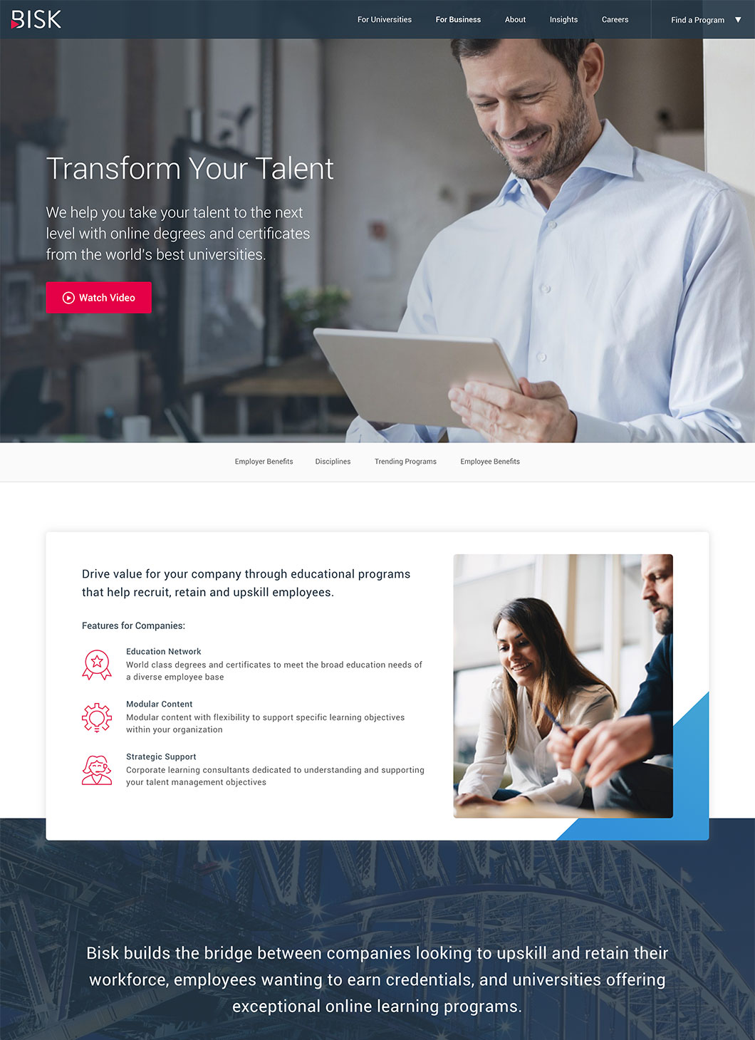 Screenshot of Bisk Business custom WordPress template