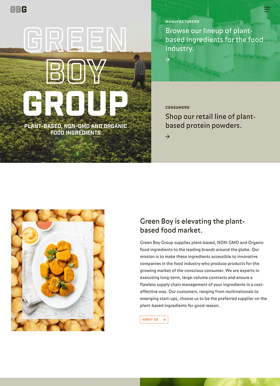 Screenshot of Green Boy Group Homepage